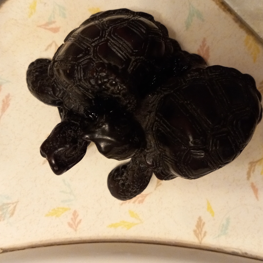 Wood turtles - Picture 2 of 3